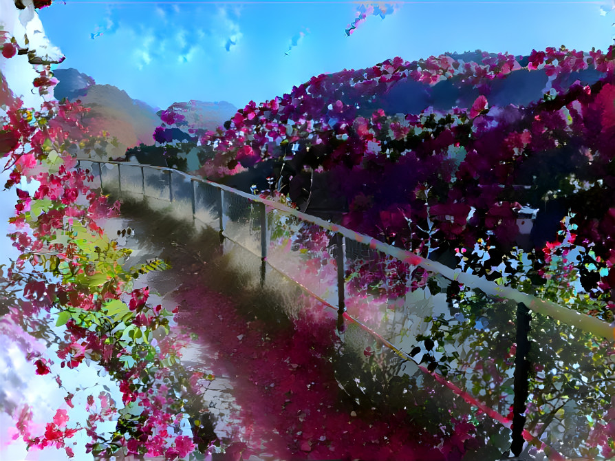 Path of Flowers 