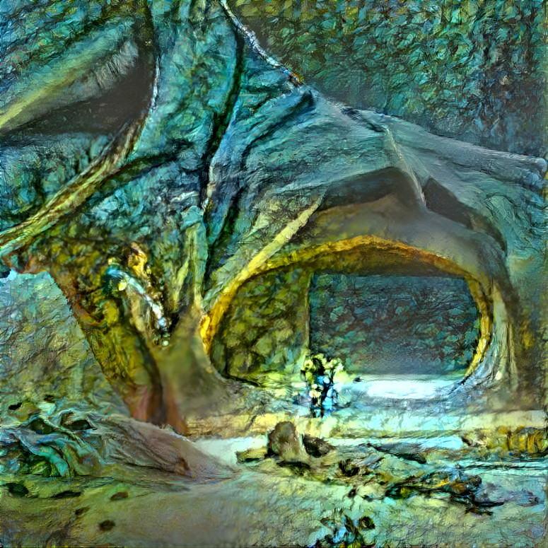 The Forest Cave