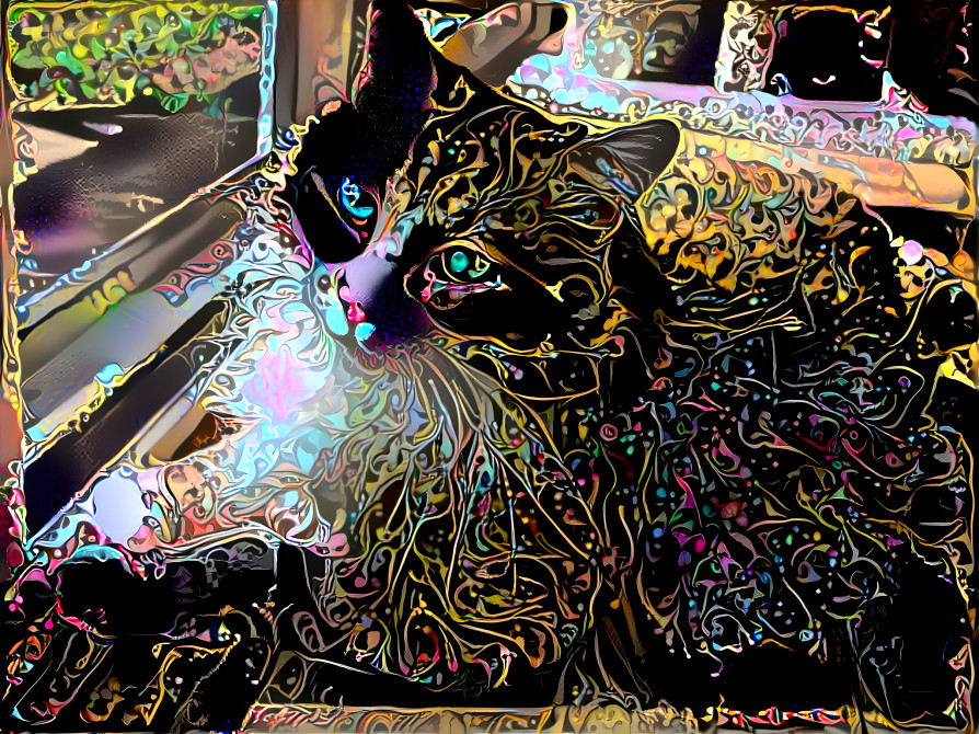 Magick cat