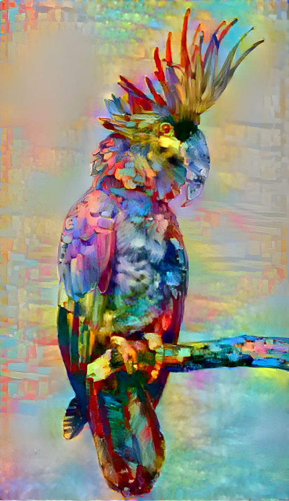 Bird Of Color