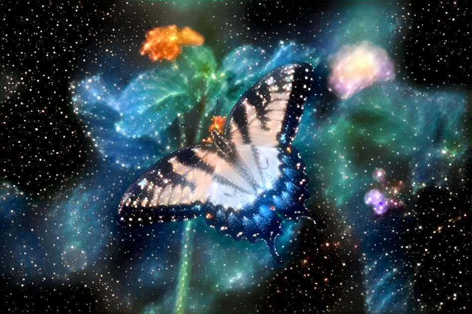 The Nebula butterfly