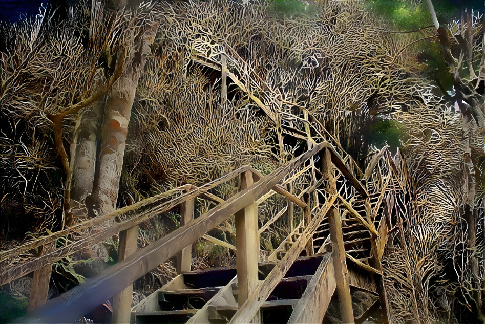 Stairway to Tikal Ruins