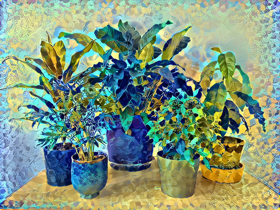 Magic plants