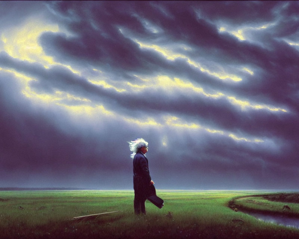 Person walking in lush field under dramatic sky with golden light and billowing clouds