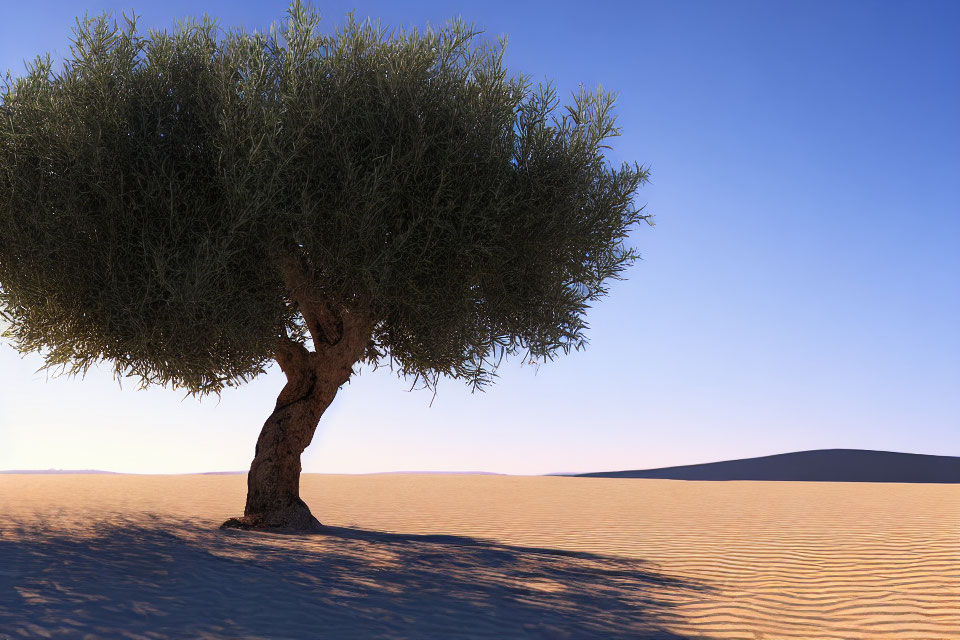 Solitary green tree in desert with sand dunes and blue sky