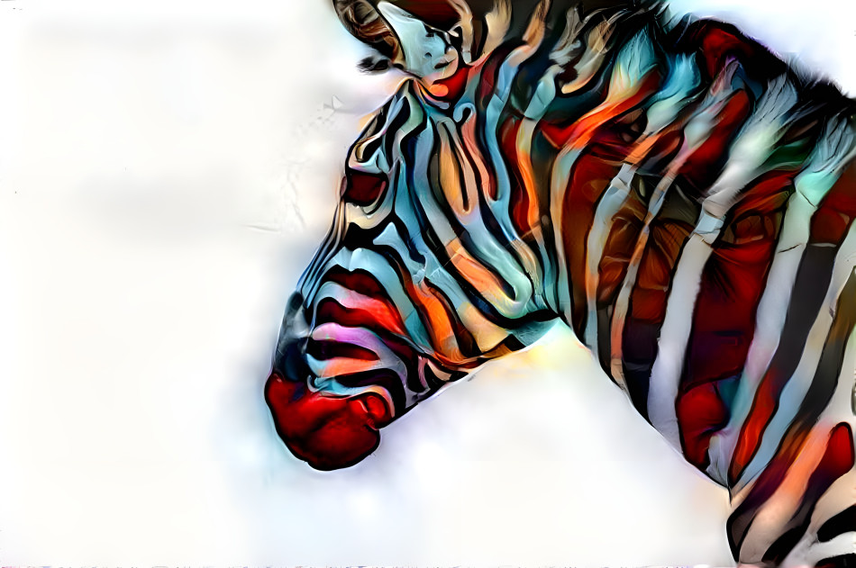 Zebra in color