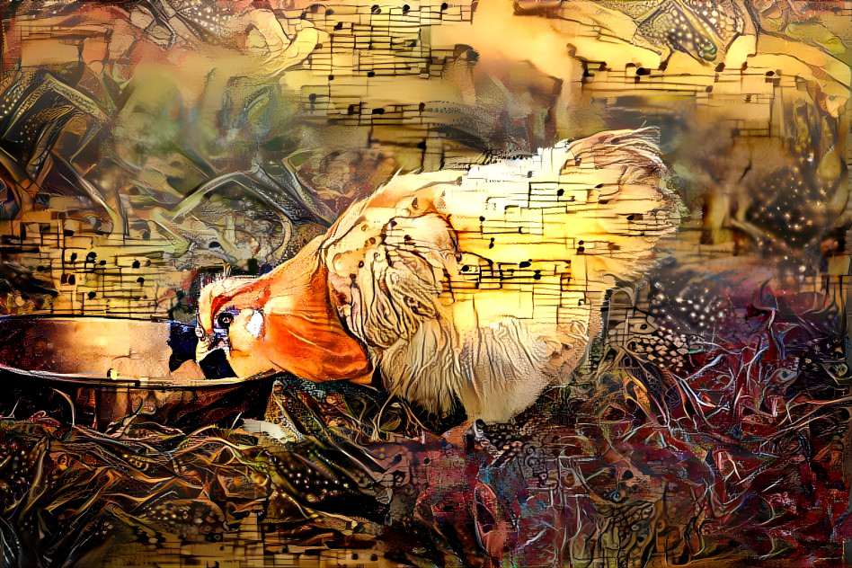 Musical Bantam Chicken