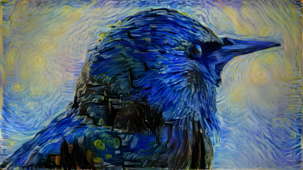 The Starry Bird Night