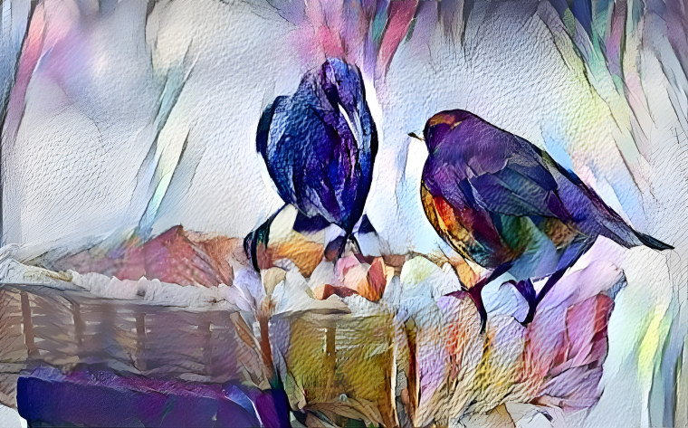 Birds.