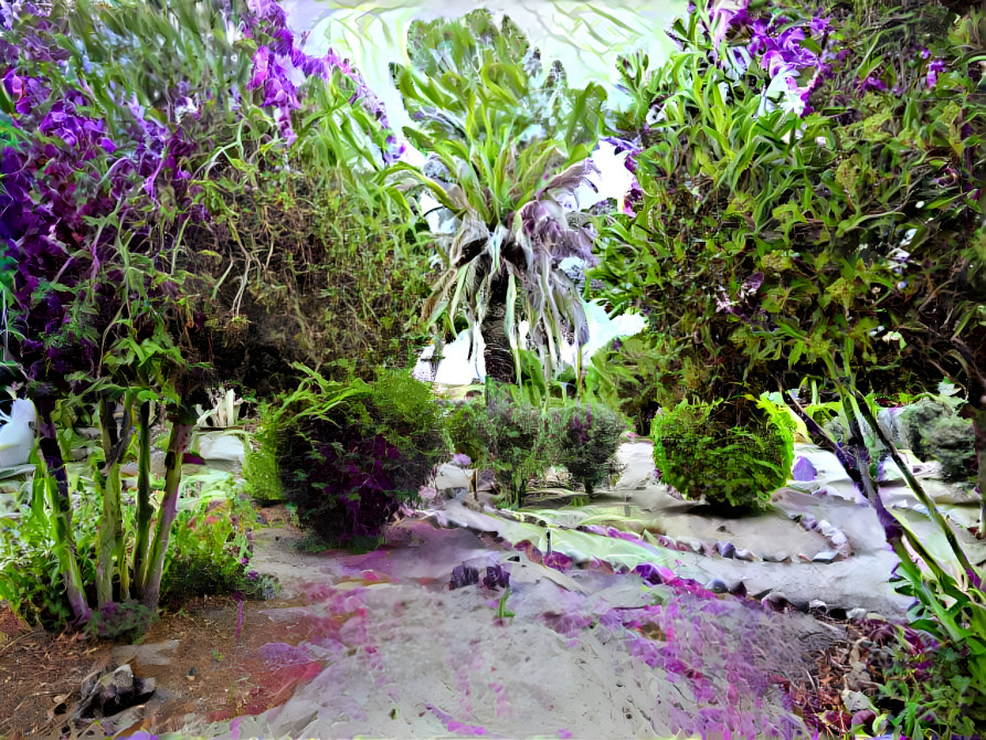 San Miguel Mission Cemetery Paths with Purple