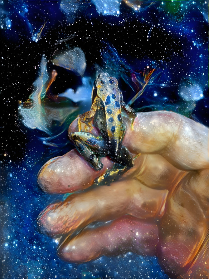 the universe frog