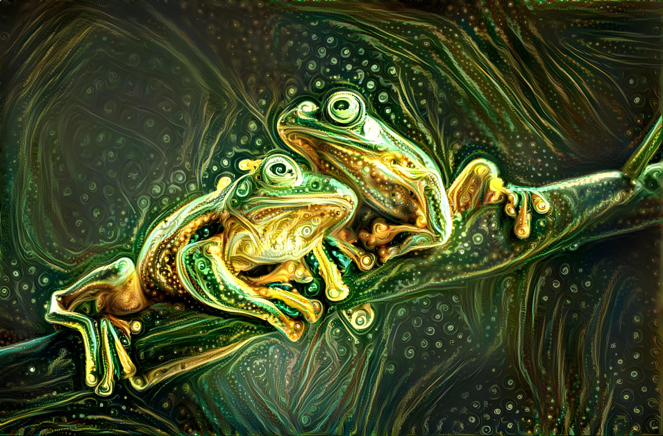 tree frog #7