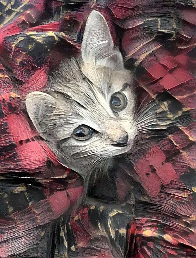 Cat's Cushion