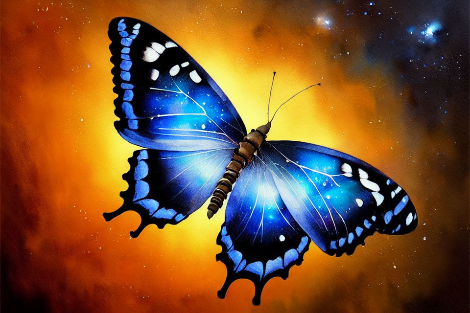 Colorful Blue and Black Butterfly on Orange Starry Background