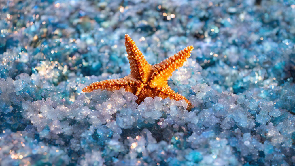 Orange Starfish Resting on Blue Crystals Sparkling in Light