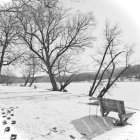 Snow-covered trees and bench in serene winter scene by frozen lake
