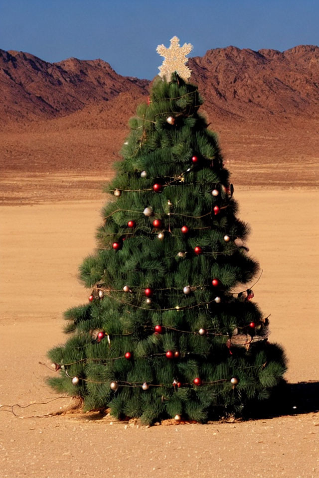Decorated Christmas tree with star topper in desert landscape.