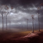 Misty field with bare trees and flying birds under dark sky