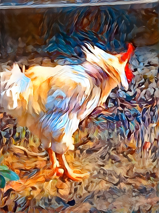 Brewster Sweet Rooster
