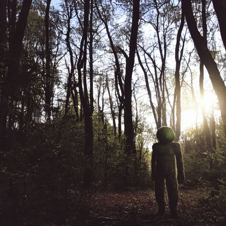 Silhouetted figure with spherical head in tranquil forest with sunrays.