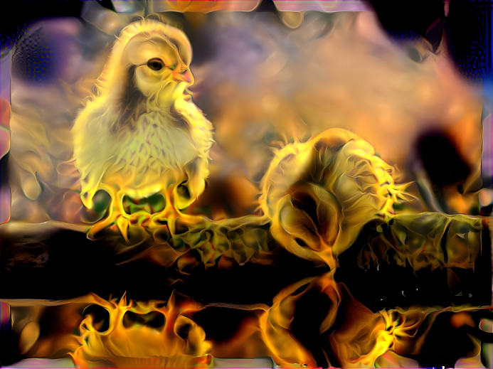 Chicks on Fire