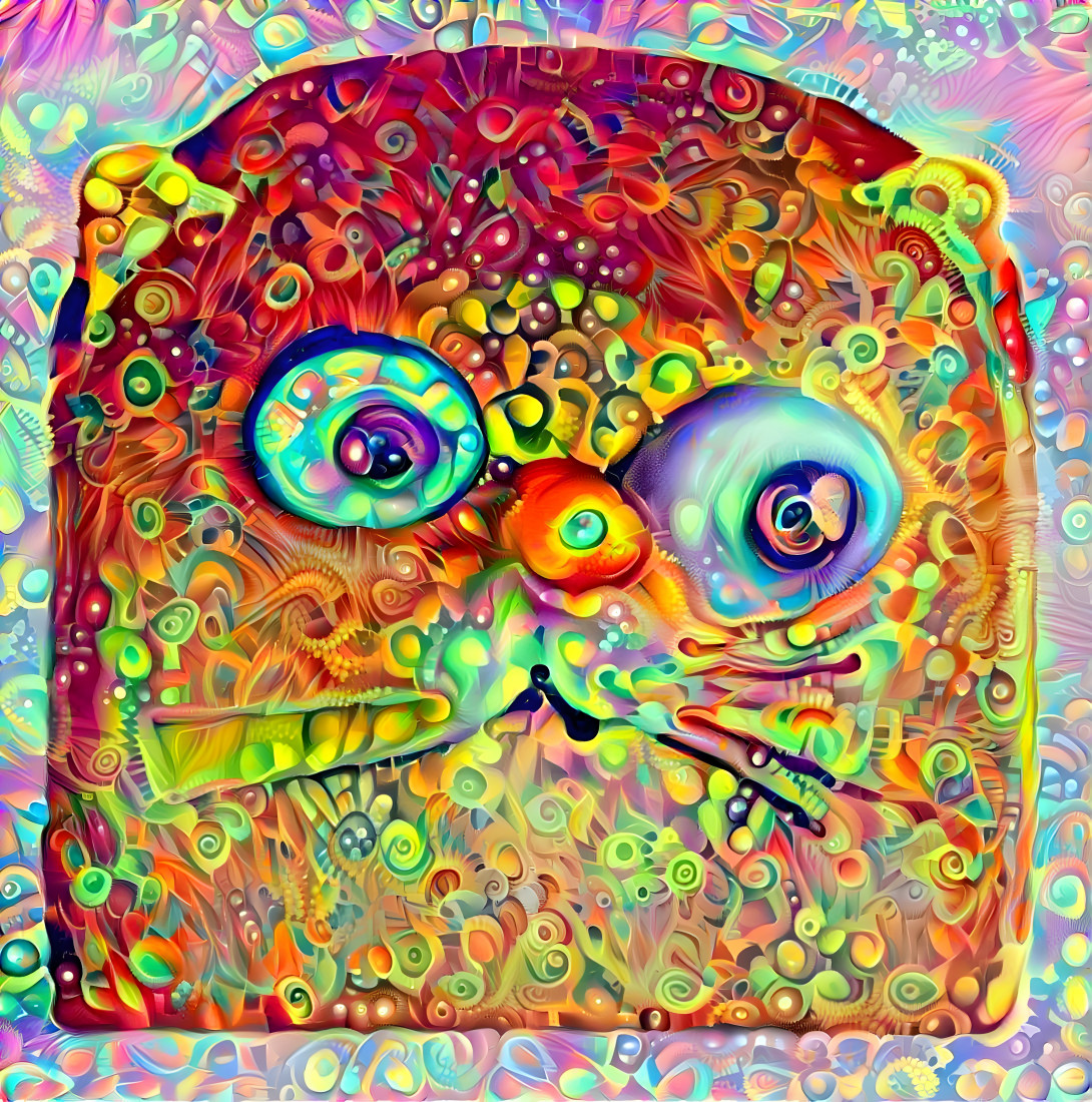 All seeing Cat