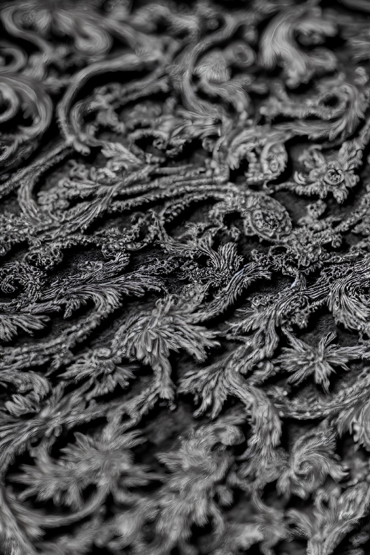 Detailed black and white textured pattern with swirling motifs
