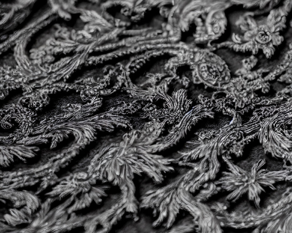 Detailed black and white textured pattern with swirling motifs