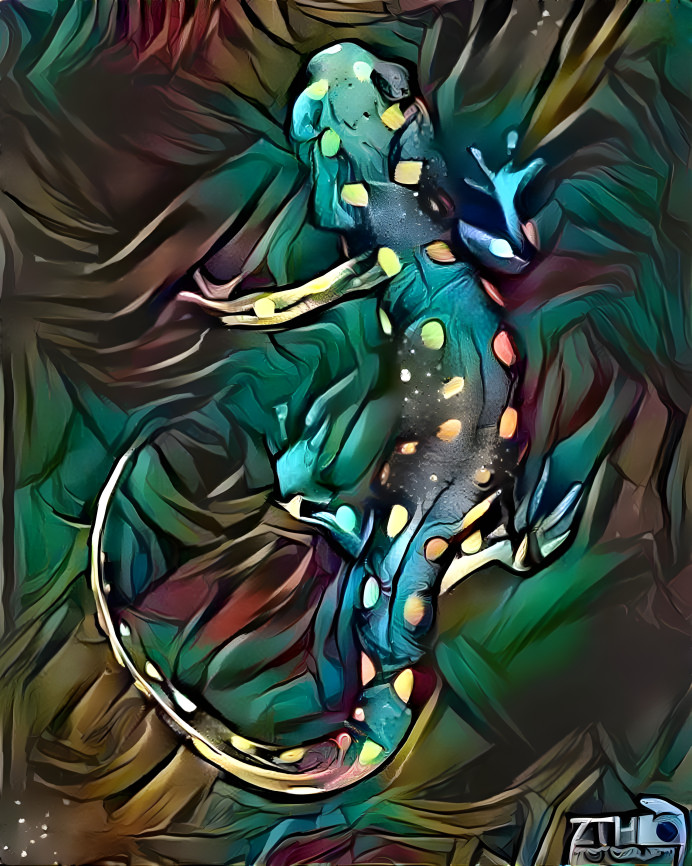 Tiger Salamander I