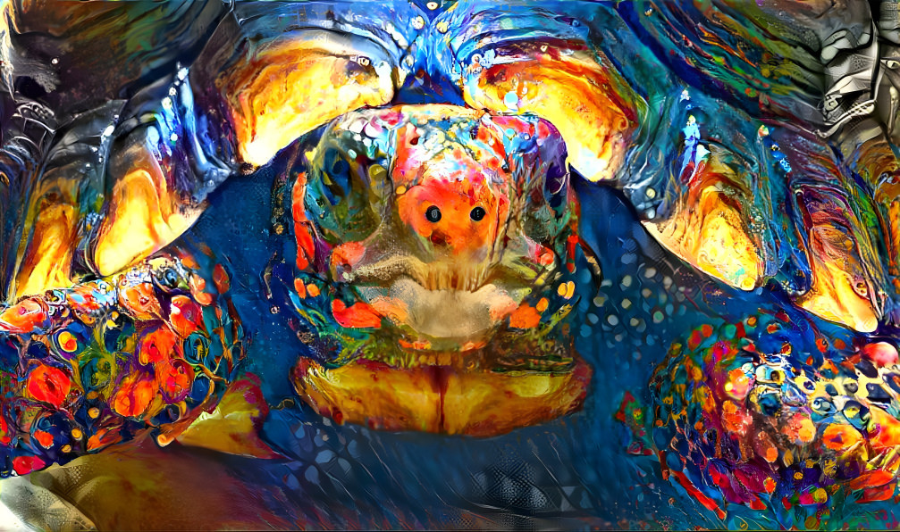 psychedelic turtle