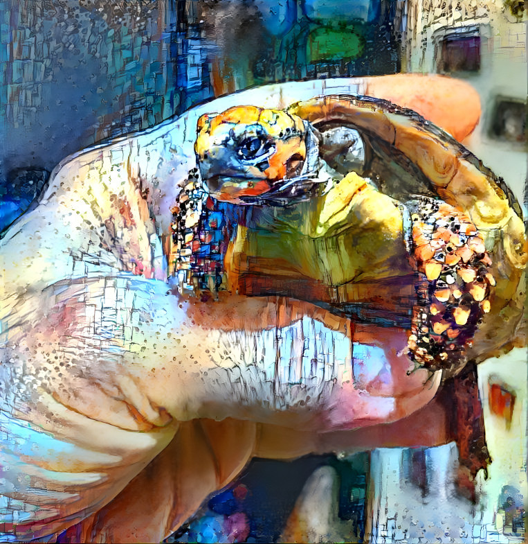tortoise hand