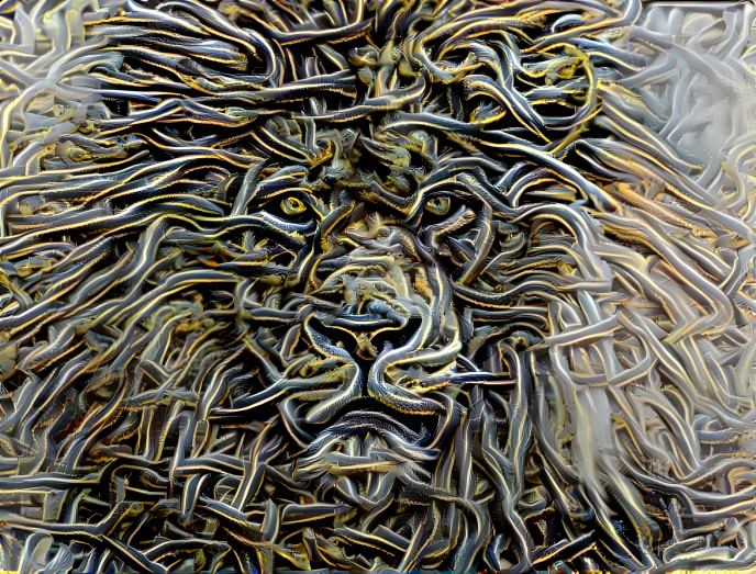 Medusa Lion