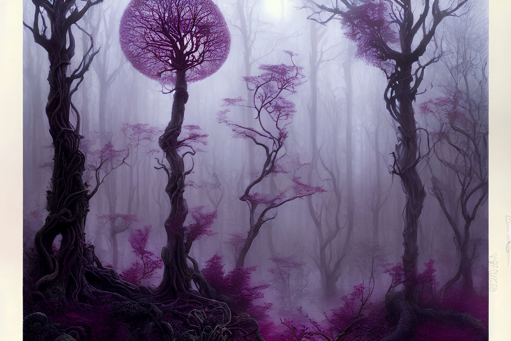 Mystical Purple Forest with Twisted Trees and Pink Foliage