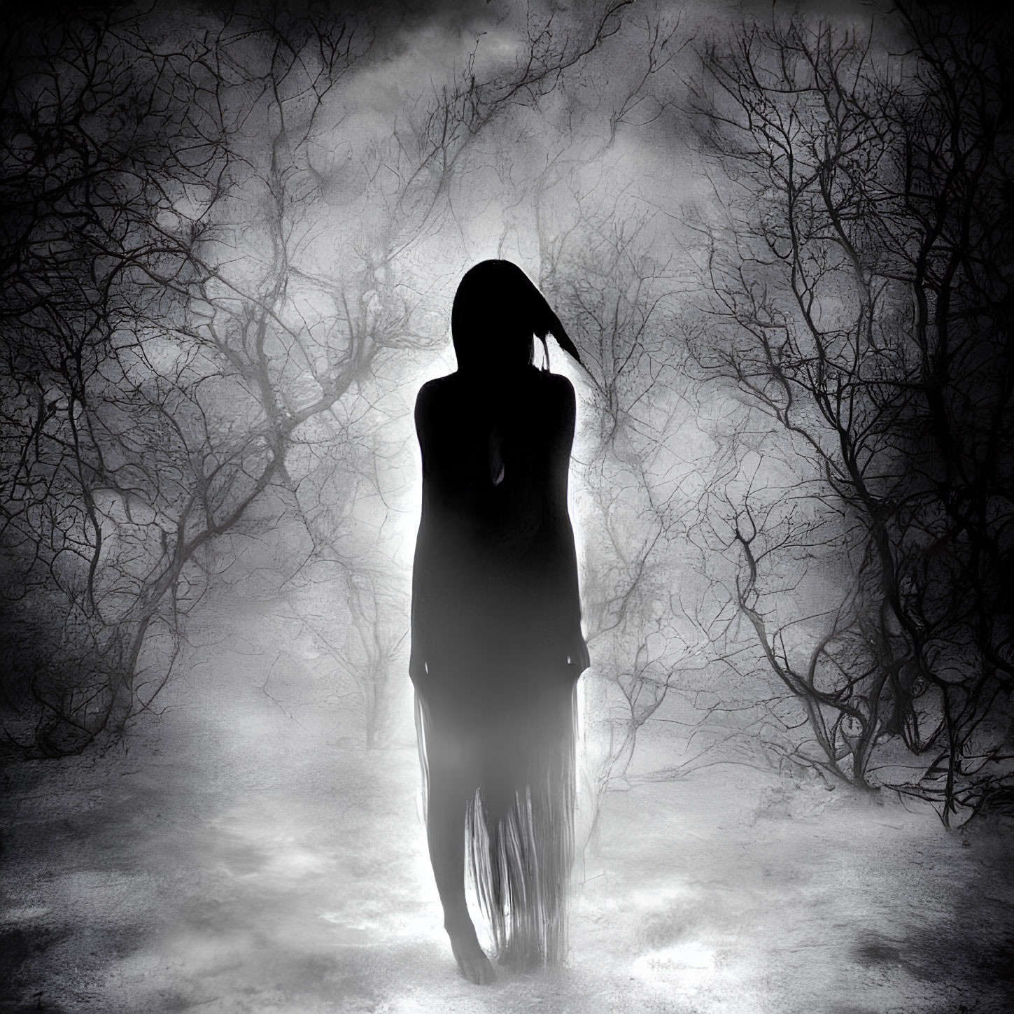 Silhouette of person in eerie misty forest with gnarled trees