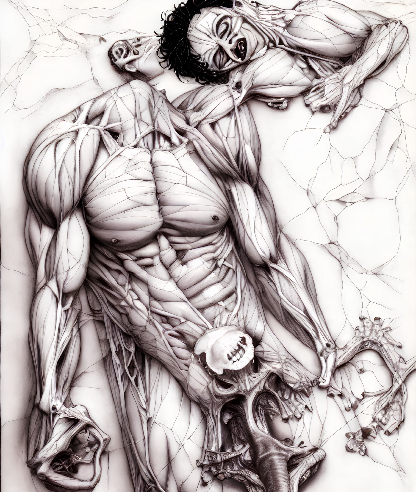 Detailed pencil drawing of human figures with exposed musculature and skeletal remains.