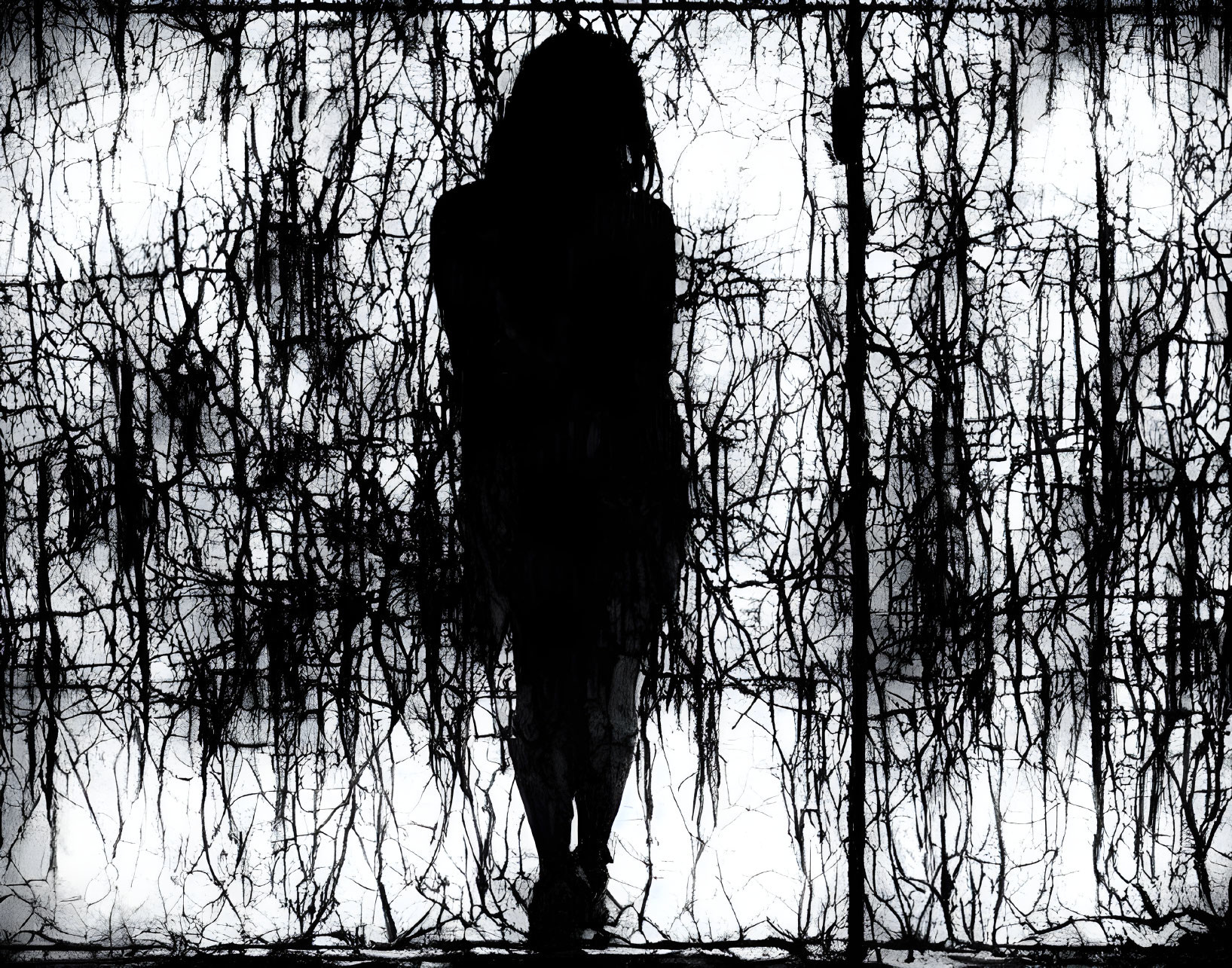 Person's Silhouette Against Textured Tree Root Background
