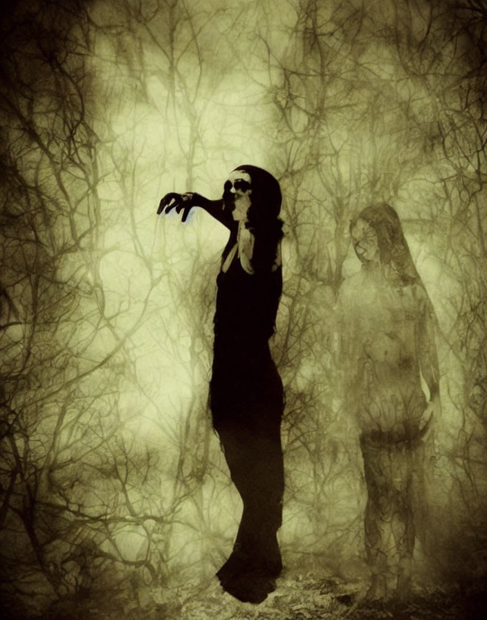 Eerie woman with skull face in dark dress and shadowy figure in haunting setting.