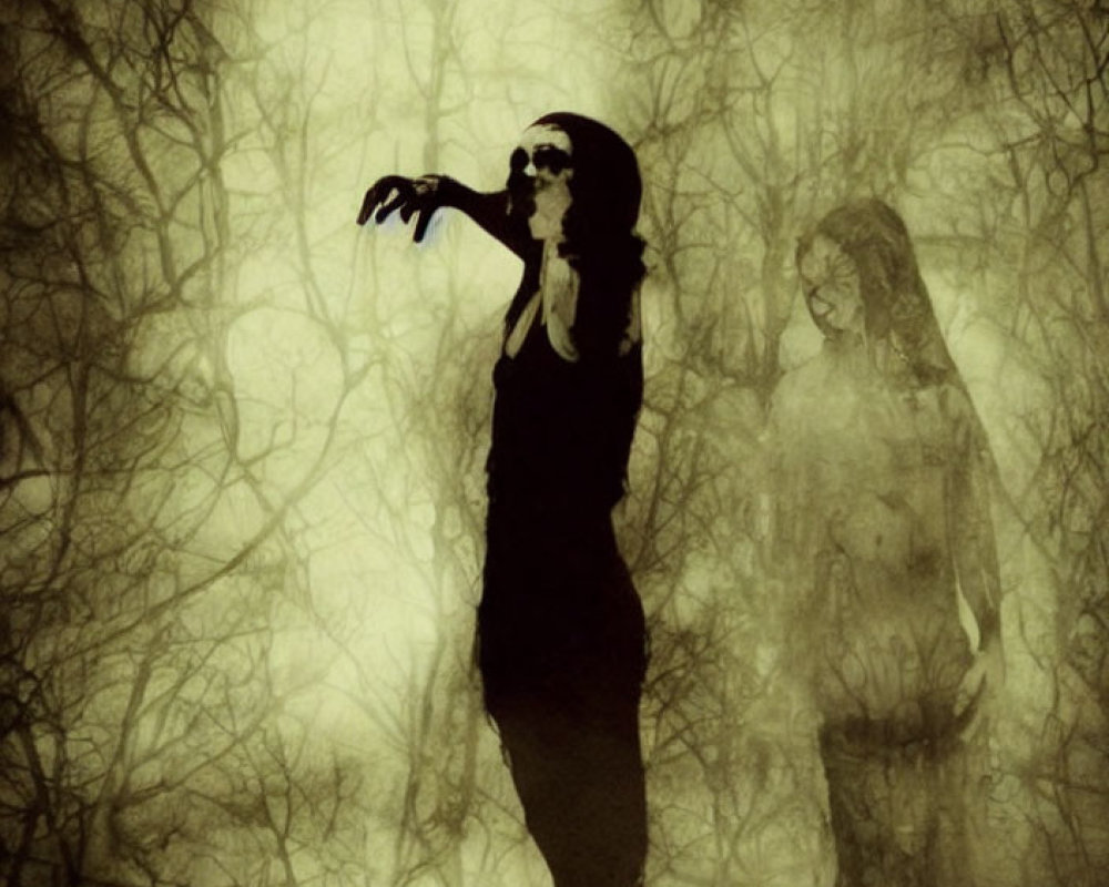 Eerie woman with skull face in dark dress and shadowy figure in haunting setting.