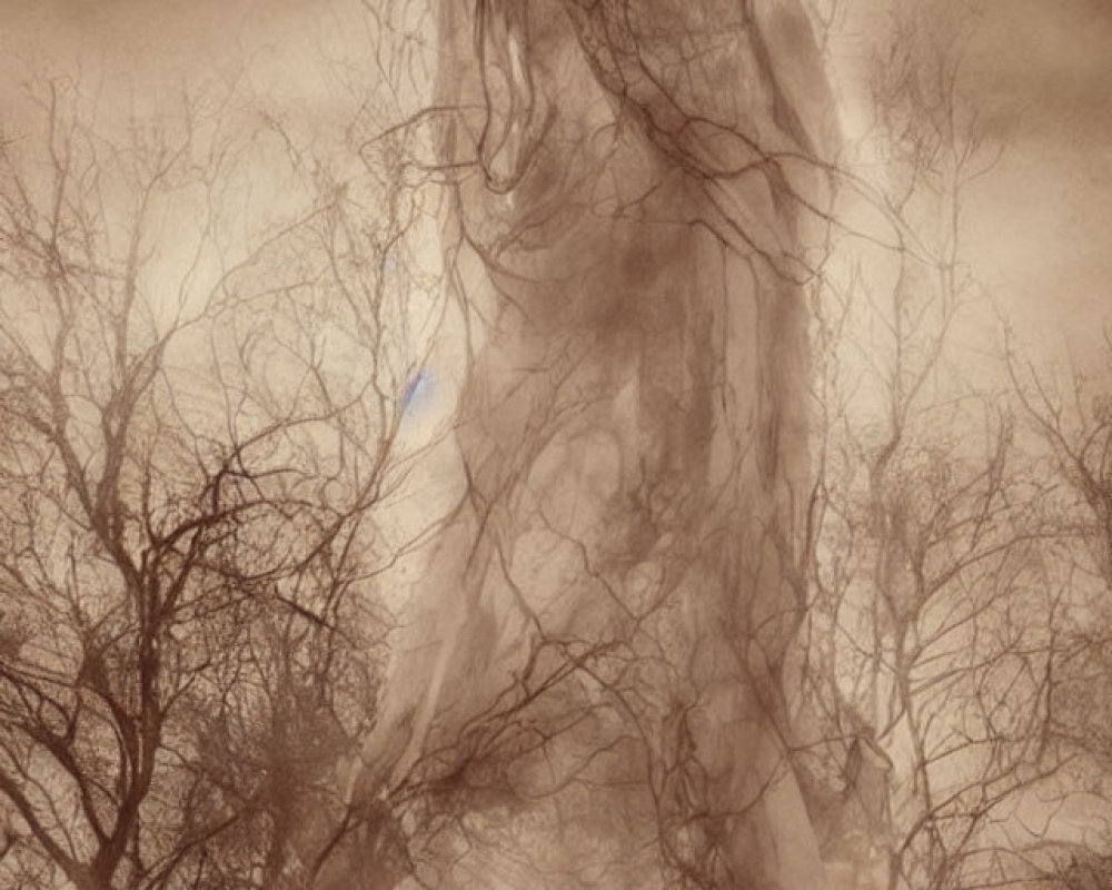 Sepia-tone artwork of melancholic tree woman in barren forest