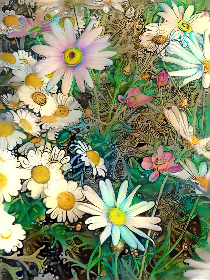 Different Daisies