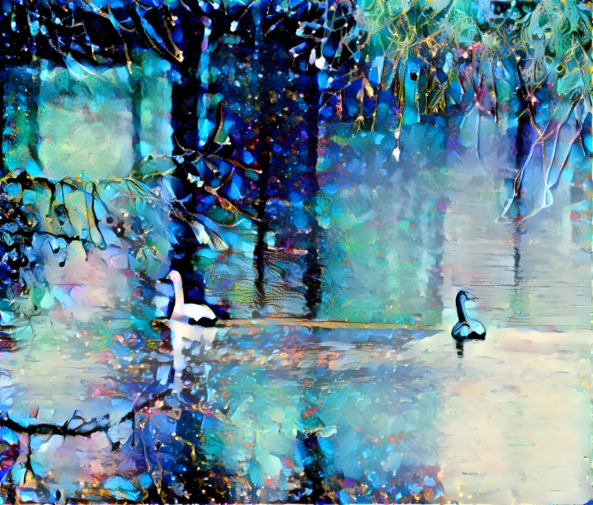 Swans Feel the Coming of Winter