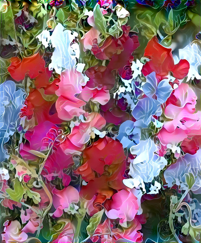 Colors of Sweet Pea