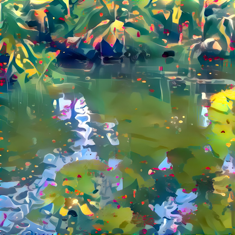 Flower Petals Floating Along a River
