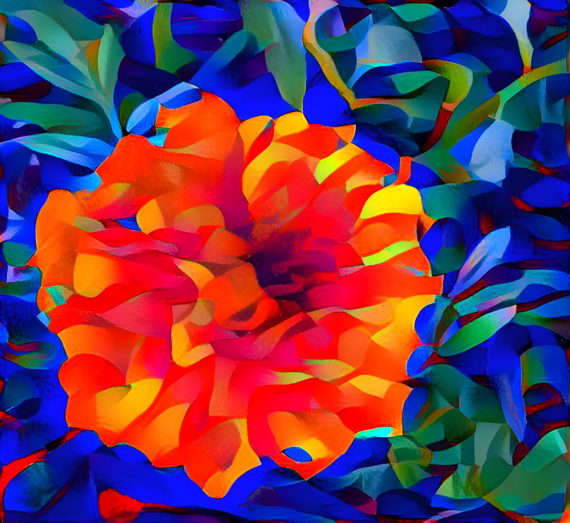 Colorburst of a Marigold