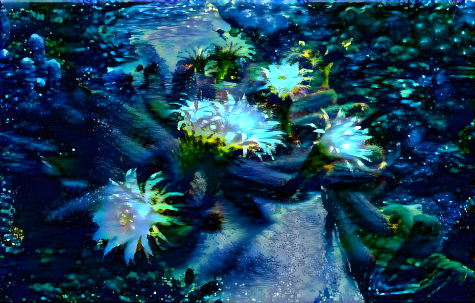 Cacti Blooms at Night