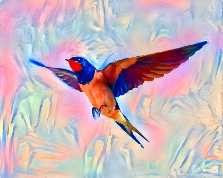 Swallow with Vivid Colors