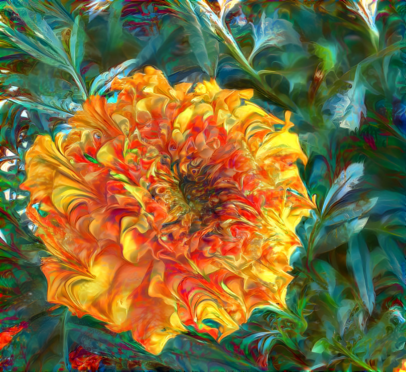 Marigold Big Bloom