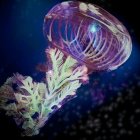 Elongated pink and white tentacled jellyfish in tranquil blue underwater scene