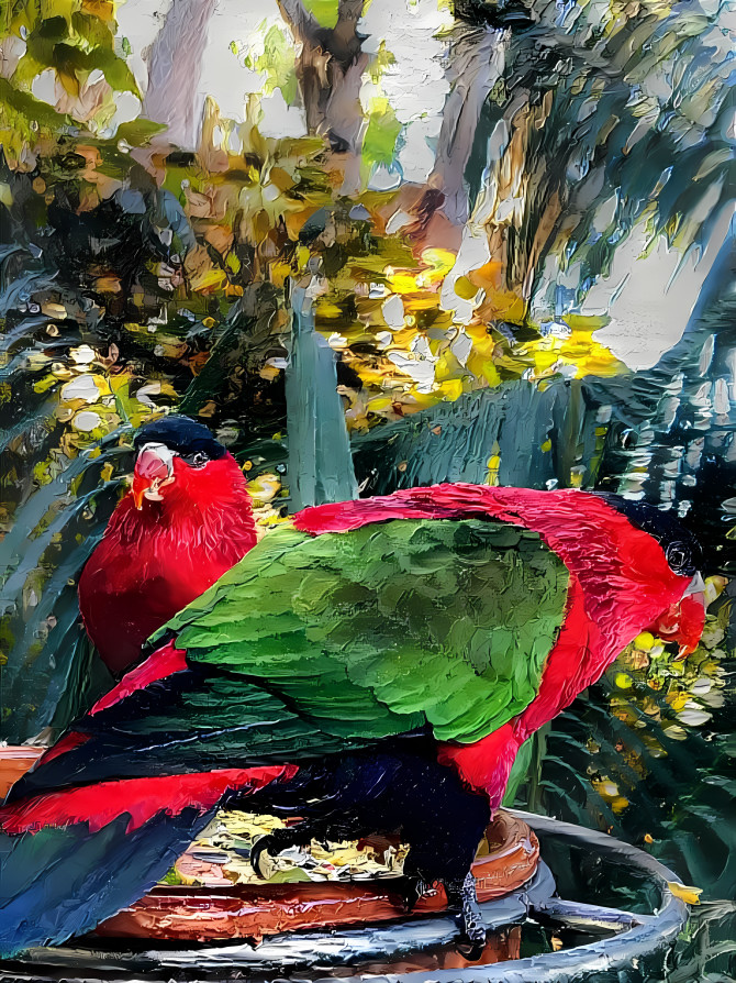 Oil Parrots