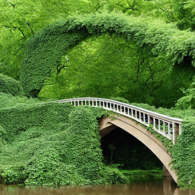Ivy-covered arch bridge over tranquil waters in vibrant nature